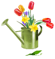 лейки скачать бесплатно - Цветок весны картинки - Зеленая Лейка с весенние  цветы PNG клипарт